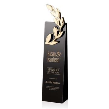 Image de Trophée - Cristal - Camborne Award