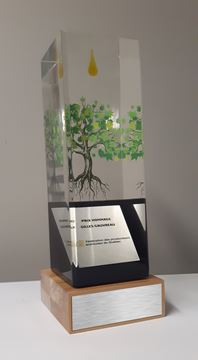 Image de Sur mesure - Trophée Acrylique - FPAQ