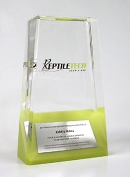 Image de Sur mesure - Trophée Acrylique - Keptile Tech