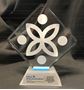 Image de Sur mesure - Trophée Acrylique - AEPC