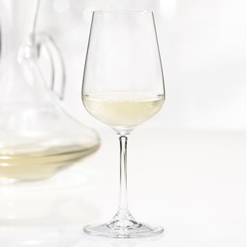 Ens. de 4 verres à vin blanc SPLENDIDO 360 ml Trudeau |  TRUD 4900833