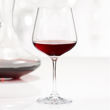 Ens. de 4 verres à vin rouge SPLENDIDO 600 ml Trudeau |  TRUD 4900835