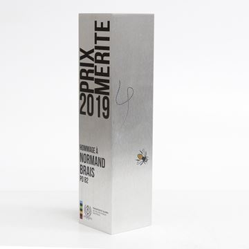 Prix de la relève -  Trophée sur mesure d'aluminium
