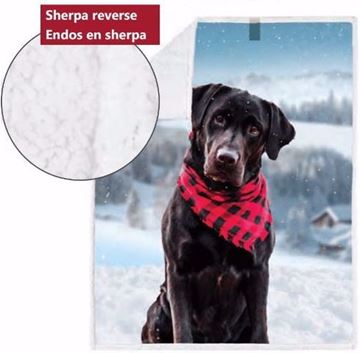 Image de Jeté à impression  chien avec foulard endos en sherpa